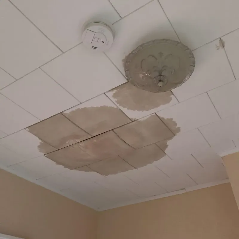 Ceiling Water Damage Repair in Fannin County, TX