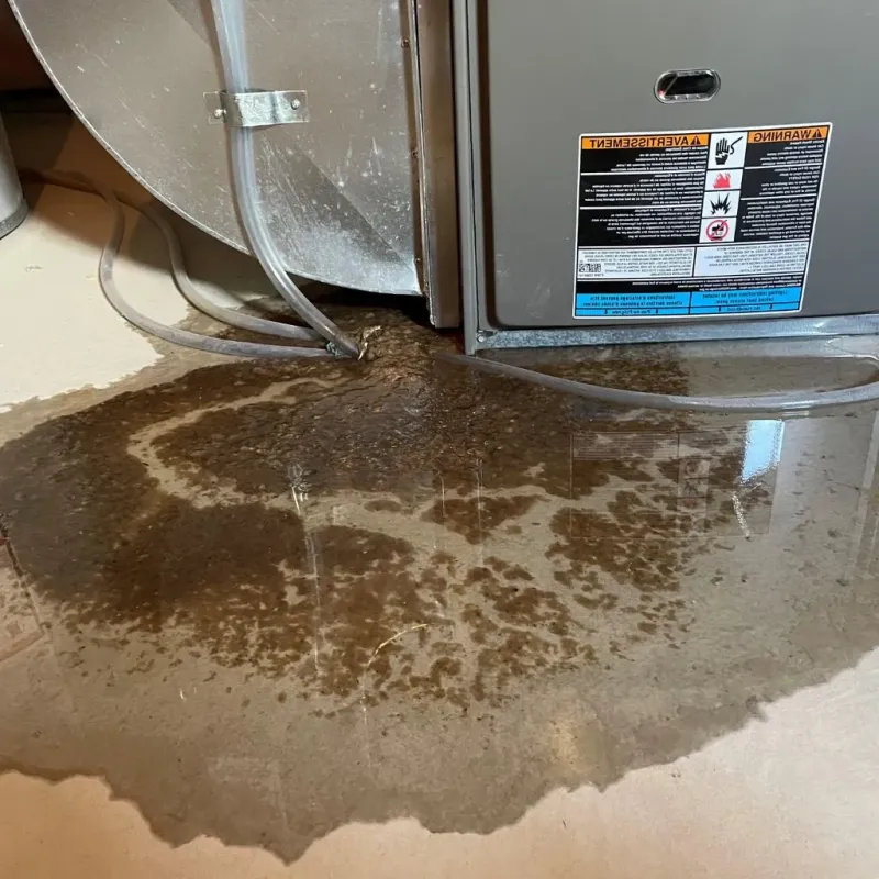 Pipe Burst and Leak Restoration in Fannin County, TX